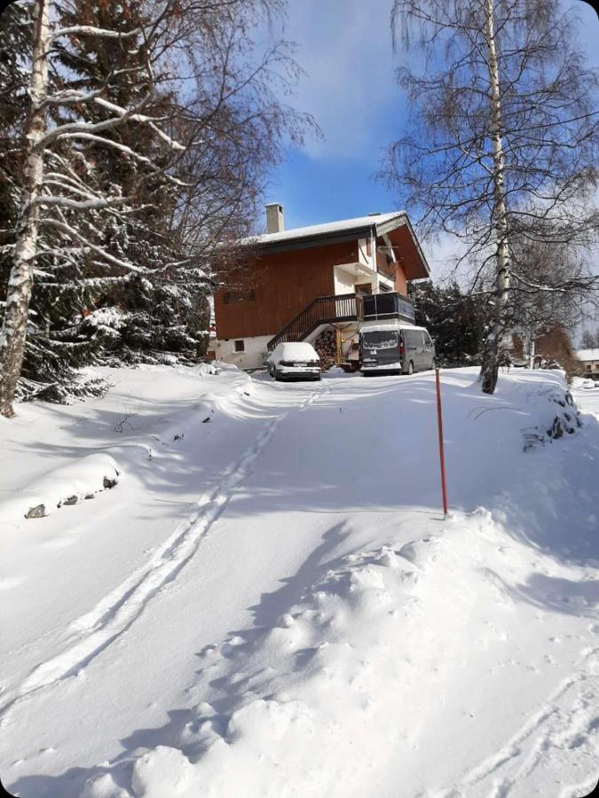 Chalet Spacieux Et Convivial La Toussuire Fontcouverte-la-Toussuire Εξωτερικό φωτογραφία